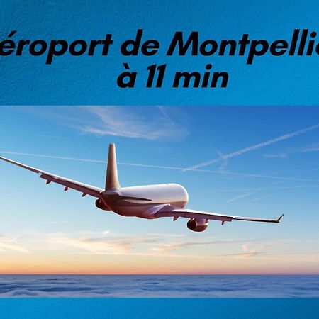 T3 Somptuosa 1 Ere Ligne Vue Mer Palavas المظهر الخارجي الصورة